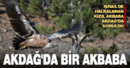 İsrail’de halkalanan kızıl akbaba Akdağ’da görüldü