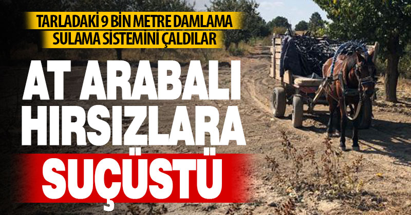 Tarladaki damlama borularını çalan at arabalı hırsızlar suçüstü yakalandı