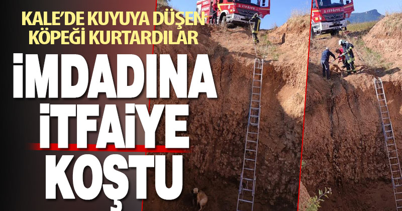 Kale’de kuyuya düşen köpeği itfaiye ekipleri kurtardı
