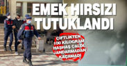 Çivril’de 100 kilo haşhaş çaldığı iddia edilen şüpheli tutuklandı