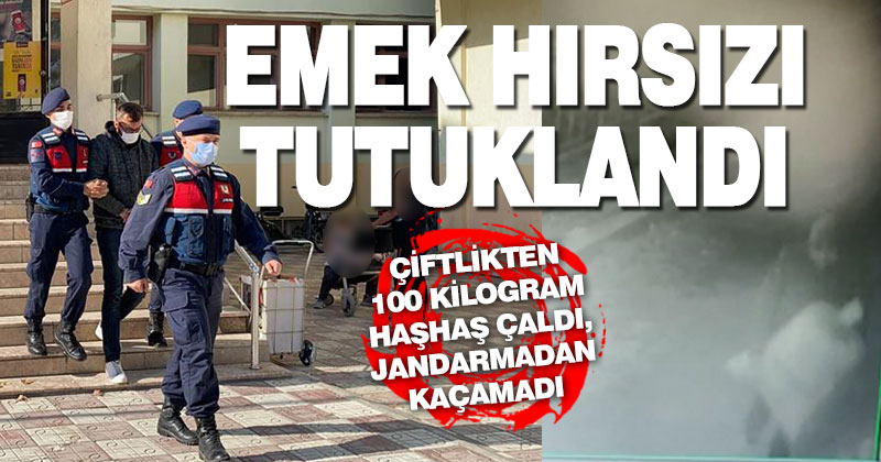 Çivril’de 100 kilo haşhaş çaldığı iddia edilen şüpheli tutuklandı