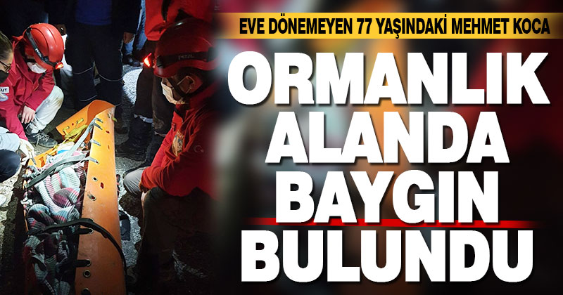 Eve geri dönemeyen 77 yaşındaki Mehmet Koca ormanlık alanda baygın halde bulundu