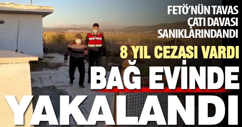 FETÖ’nün Tavas çatı davasının firari hükümlüsü bağ evinde yakalandı