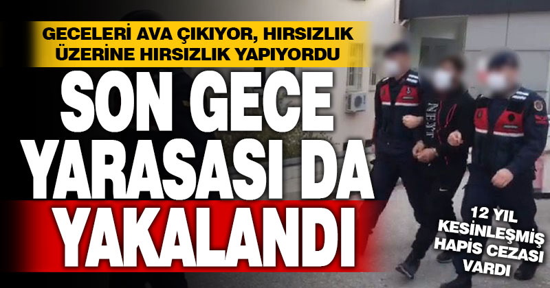 Gece yarasaları çetesinin son üyesi de yakalandı