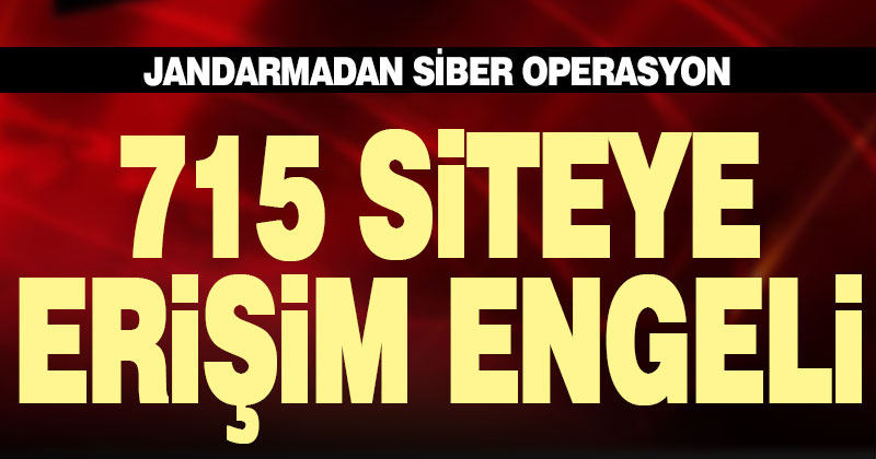 Jandarmadan siber operasyon. 715 siteye erişim engeli getirildi