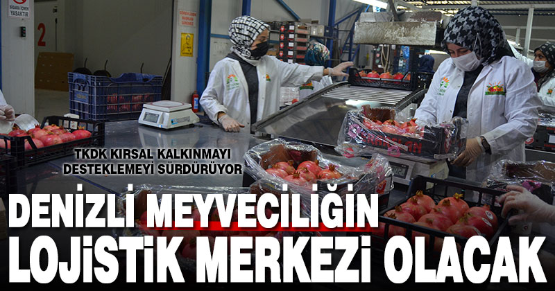 Denizli meyveciliğin lojistik merkezi olacak