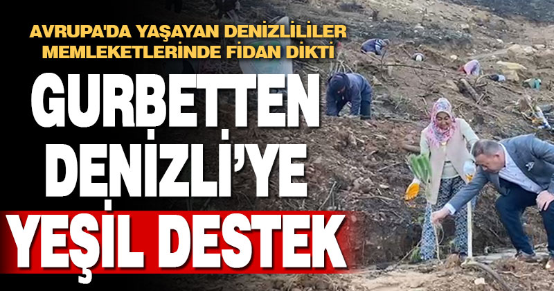 Avrupa’da yaşayan Denizlililer memleketlerinde fidan dikti