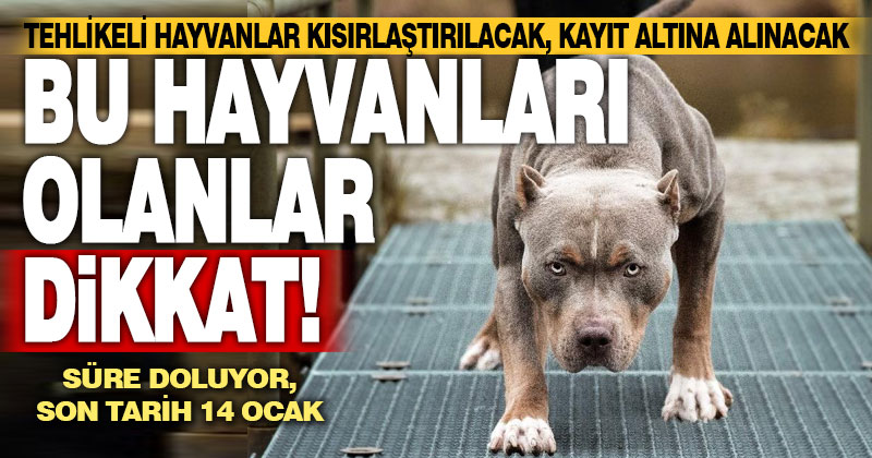 Tehlikeli hayvanlar için tanınan süre doluyor