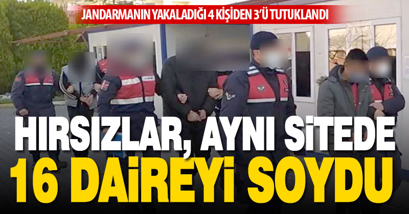 Aynı siteden 16 daireden hırsızlık yapan hırsız tutuklandı