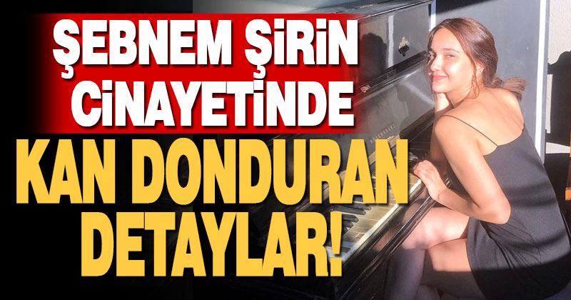 Şebnem Şirin cinayetinde kan donduran detaylar!