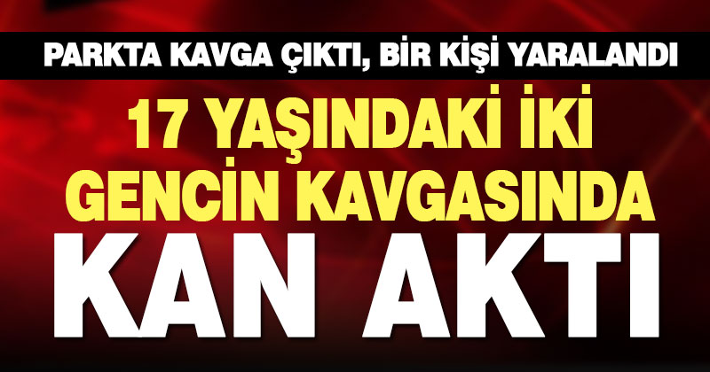 Mehmetçik Mahallesinde parktaki bıçaklı kavgada bir kişi yaralandı