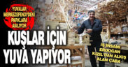 İş insanı Kızıl kuşlar için yuva yapıyor