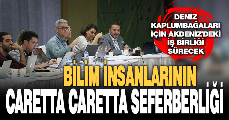 Deniz kaplumbağaları için Akdeniz’deki iş birliği sürecek