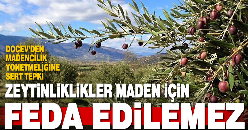 DOÇEV’den maden yönetmeliğinde zeytinlik kararına tepki