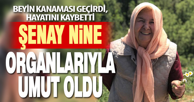 Beyin kanaması geçiren Şenay Canbaz’ın organları bağışlandı