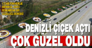 Peyzaj düzenlemeleriyle Denizli, baharda bir başka güzel oldu