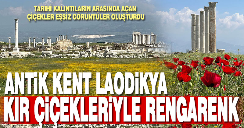 Antik Kent Laodikya, kır çiçekleriyle rengarenk