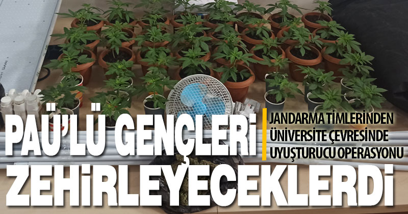 Jandarmadan üniversite çevresinde uyuşturucu temizliği