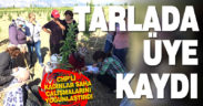 Tarlada üye kaydı