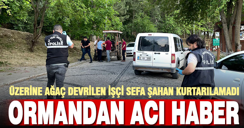 Üzerine ağaç devrilen kesim işçisi hayatını kaybetti