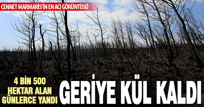 Marmaris’te yanan ormanlık alanda soğutma çalışmaları sürüyor