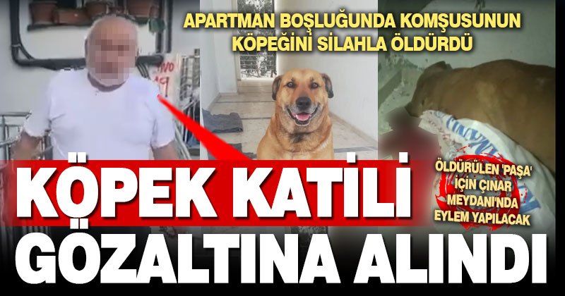 Komşunu tehdit edip tüfekle köpeğini öldürdü, gözaltına alındı