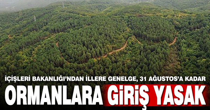 31 Ağustos’a kadar ormanlara giriş yasaklandı