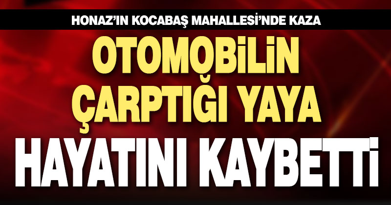 Honaz’da otomobilin çarptığı yaya hayatını kaybetti