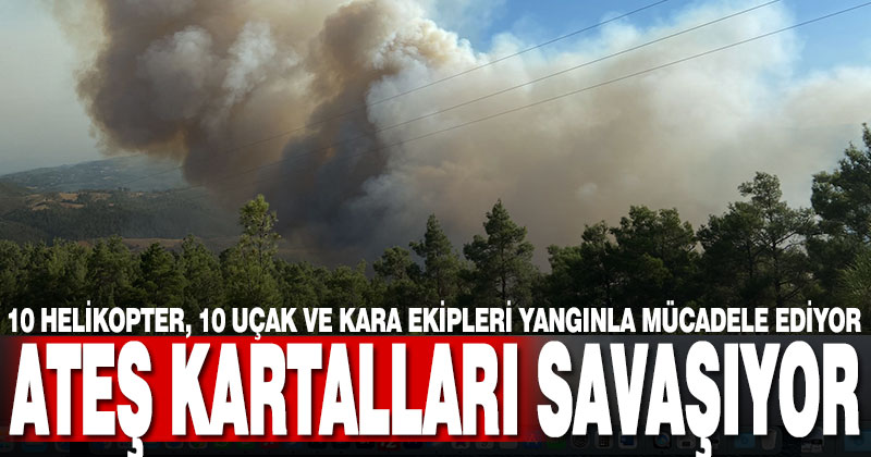 Ateş Kartalları Kale’deki orman yangınıyla mücadele ediyor
