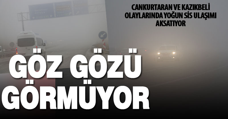 Denizli’de etkili olan sis ulaşımı aksattı