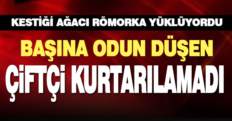 Çivril’de başına odun parçası düşen çiftçi hayatını kaybetti