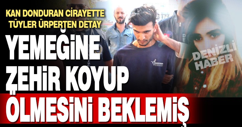 Kan donduran cinayetin zanlısı tutuklandı