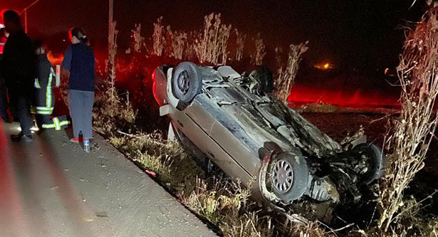 Domuz sürüsüne çarpan otomobilin sürücüsü yaralandı