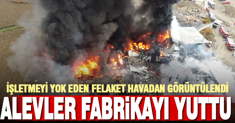 Alevler kimya fabrikasını yuttu
