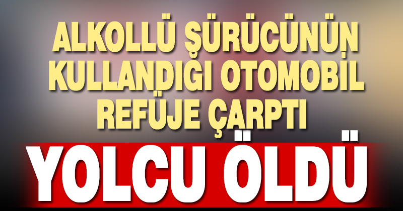Denizli’de refüje çarpan otomobildeki 1 kişi öldü