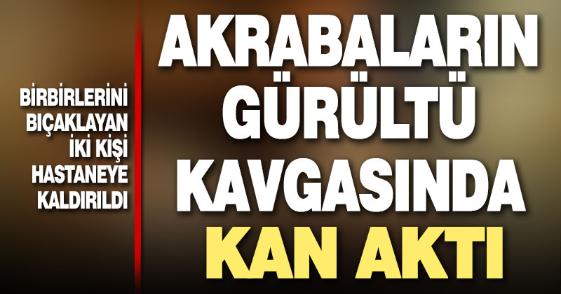 Çivril’de akrabaların gürültü kavgasında 2 kişi bıçakla yaralandı