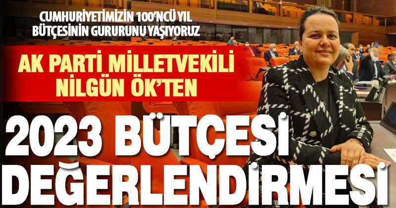 Ak Parti Milletvekili Ök’ten ‘100. yıl bütçesi’ değerlendirmesi