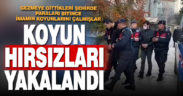 Gezmeye geldikleri şehirde paraları bitince imamın koyunlarını çaldılar
