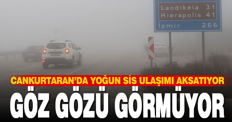 Denizli’de sis ulaşımda aksamalara yol açtı