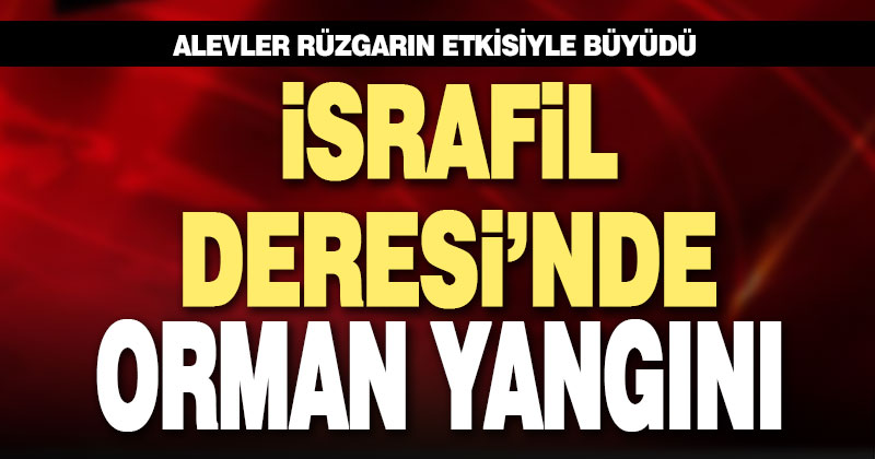 Denizli’de ormanlık alanda başlayan yangın rüzgarın etkisiyle büyüdü