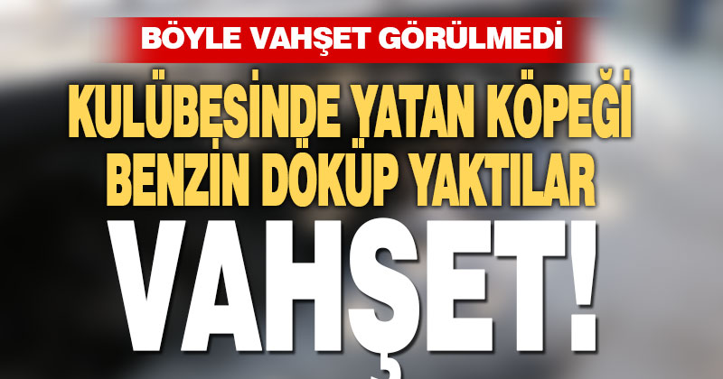 Böyle vahşet görülmedi, bağlı köpeği kulübesinde diri diri yaktılar