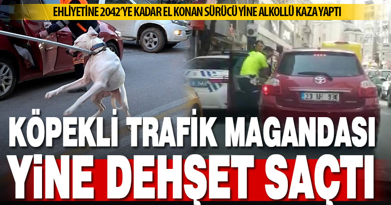 Köpeği polise saldıran sürücü alkollü kaza yaptı, ekiplere zor anlar yaşattı