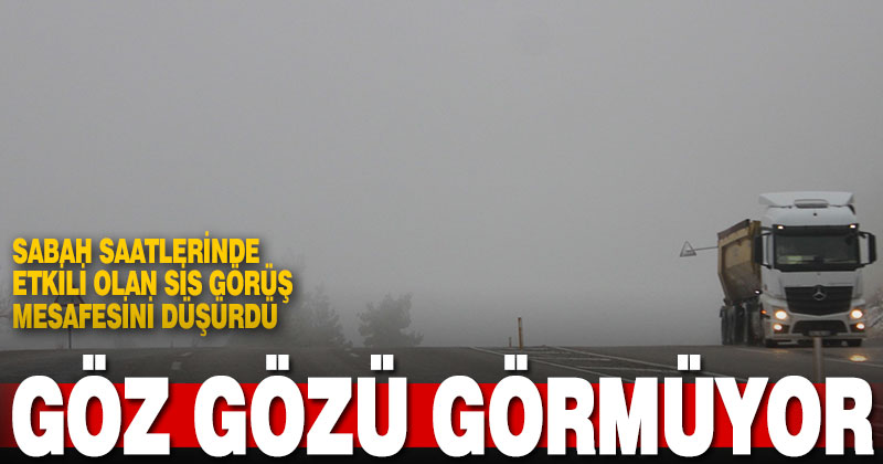 Denizli’de etkili olan sis görüş mesafesini düşürdü