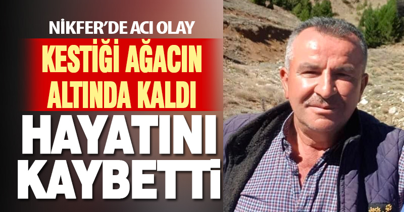 Kestiği ağaç üzerine devrilen adam öldü