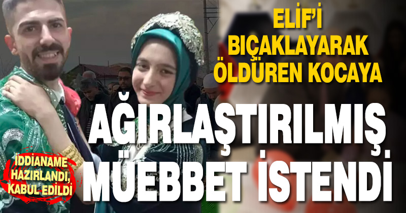 Elif Irmak cinayetinde kahreden gerçek