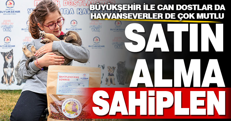 Büyükşehir ile can dostlar da, hayvanseverler de çok mutlu