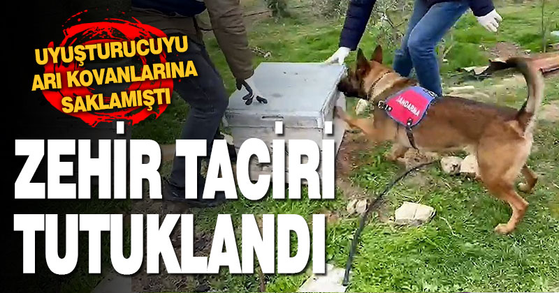 11 kilo esrarı arı kovanı ve sazlıklara gizleyen oğul tutuklandı, baba serbest kaldı