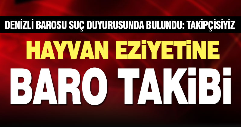 Hayvan eziyetlerine Denizli Barosu’ndan suç duyurusu