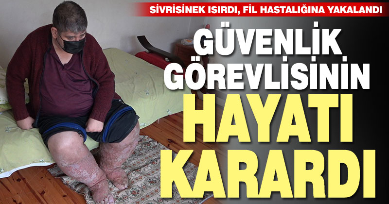Sivrisinek, güvenlik görevlisinin hayatını kararttı