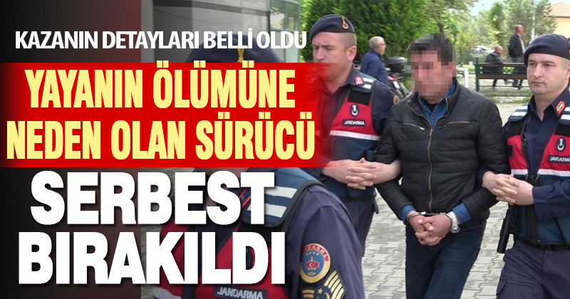 Çarptığı yayanın ölümüne sebep olan sürücü serbest bırakıldı